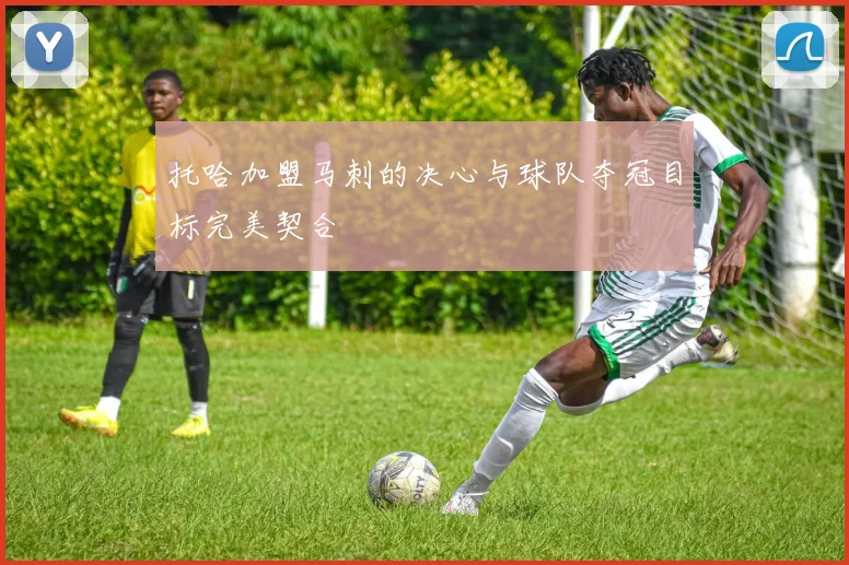 托哈加盟马刺的决心与球队夺冠目标完美契合